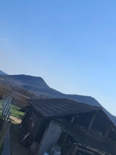 The image depicts a rural landscape in Vedrare, Bulgaria, under a clear blue sky with a faint wisp of cloud on the far left. A distant, dark mountainous terrain with sparse vegetation extends across the upper mid-ground. In the foreground and mid-ground, a weathered, single-story wooden outbuilding with a dark, tiled, steeply pitched roof is prominently featured, positioned diagonally. The building's right side reveals stacked logs of firewood under an extended eave, supported by wooden posts. A white painted section or door is visible on the structure's left facade, with various white containers and objects at its base. A dirt path or track runs from the lower left towards the mid-left, paralleled by a simple wooden post fence. Patches of green grass are visible near the path and fence, while disturbed earth, possibly agricultural fields, lies beyond them, extending towards the mountain base. No individuals are present. No specific actions or interactions are depicted. The overall scene suggests a quiet, rural setting.