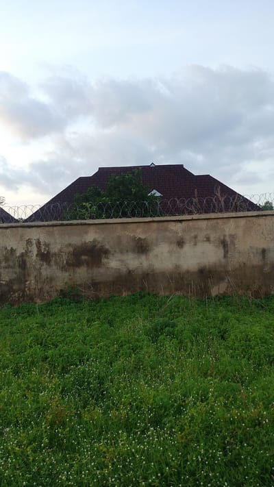 The image depicts an outdoor scene in Donga, Nigeria, likely during the late afternoon or early evening given the soft, diffused light and the overcast sky. The foreground is dominated by a dense field of green grass interspersed with numerous small, white, spherical flowers. The grass is tall and somewhat unkempt, creating a lush, wild appearance.
Behind the grassy area, a weathered concrete wall stretches horizontally across the frame. The wall exhibits signs of age and exposure to the elements, with patches of discolored, darker stains, possibly from water runoff or dirt accumulation.
Along the top of the wall, a coiled barbed wire fence is visible, serving as a security measure. Above the wall and fence, the roofline of a house is discernible. The roof is covered in dark, reddish-brown shingles and features a steep pitch. A few trees with dense green foliage are visible behind the fence, partially obscuring the house. A small triangular window is visible on the house's roof.
The sky above is filled with thick, gray clouds, indicating overcast weather, possibly with a hint of rain approaching or having recently passed. There are no people or animals visible in the frame, and no text is present. The overall impression is one of a semi-rural or suburban residential area, with a focus on the natural elements of the landscape and the man-made structures.