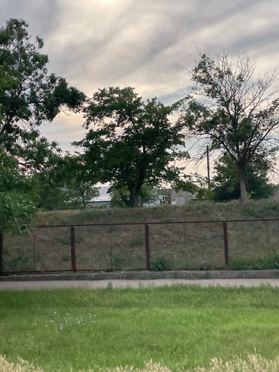 The image depicts an outdoor scene with trees, a grassy area, and a cloudy sky. The perspective is from below, looking upwards at the branches of large trees. Some of the trees are full of green leaves, while others appear to be bare or partially bare, showing a mix of foliage. The sky is filled with soft, wispy clouds, suggesting it might be overcast or that the sun is low in the sky, possibly indicating dawn or dusk.
Adjacent to the trees is a section of what appears to be a fenced-off area, with horizontal bars and a background of dry, matted grass. Beyond this, there's a strip of well-maintained, vibrant green grass. A thin path or border separates the two grassy areas. In the distance, behind the trees and fence, there are glimpses of buildings, suggesting an urban or semi-urban environment. The overall impression is of a natural or park-like setting within a developed area. No people or specific activities are visible. The lighting is diffused, consistent with an overcast day.