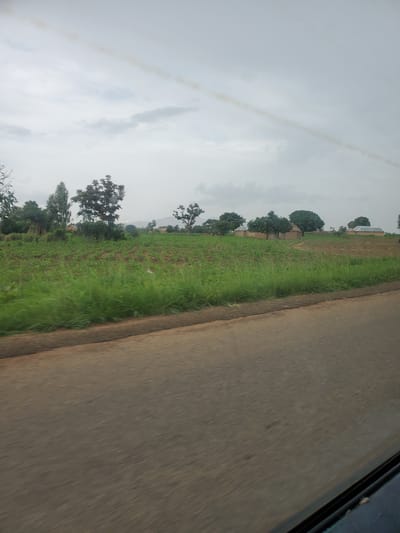 The image depicts a roadside view in Pankshin, Nigeria. The scene is dominated by a paved road on the right, with a vibrant green field bordering it on the left. The field appears to be agricultural land, possibly a crop field, with interspersed trees dotting the landscape. In the background, there are hints of rural dwellings and more trees, suggesting a village or scattered homesteads within a predominantly agricultural setting. The sky is overcast and appears to be a dull, cloudy day, with no direct sunlight visible. The overall atmosphere is serene and rural. No people or specific activities are discernible, making it a general landscape shot. The perspective suggests the photo was taken from a moving vehicle, given the slight blur and the angle. The time of day is indeterminate due to the cloud cover, but it appears to be daytime. No text is visible in the image.