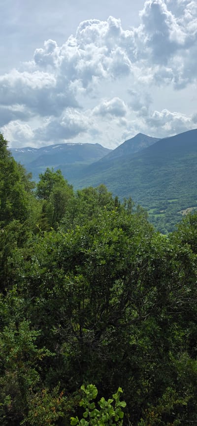 The image captures a grand natural landscape, predominantly featuring mountains, dense forests, and a dynamic sky. The scene is dominated by a vast expanse of white and grey cumulus clouds that fill the upper-left portion of the frame, showcasing their voluminous and textured forms against a brighter sky.
In the mid-ground, a series of majestic mountains stretches across the view. Their slopes are extensively covered in lush, dark green forests, with subtle variations in shade indicating different vegetation or lighting. Towards the peaks, faint patches, possibly snow or bare rock, are discernible, and the distant mountain ranges appear slightly hazy, suggesting depth and atmosphere.
The foreground and right side of the image are filled with dense, vibrant green foliage and tree branches. The leaves are rich in color and detail, creating a textured layer that frames the broader landscape and emphasizes the natural environment.
There are no people, animals, or man-made objects visible in the photograph, reinforcing the untouched beauty of the natural world. The bright illumination on the clouds and foliage suggests it is daytime. The weather appears to be partly cloudy with clear visibility over the mountainous terrain. The scene perfectly aligns with the geographical characteristics expected in Sahún, Spain. No visible text is present in the image.