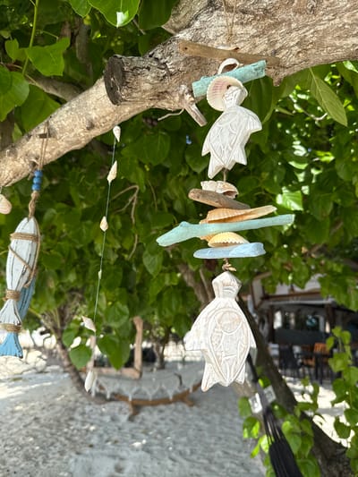 The image depicts a close-up view of a tree branch adorned with various beach-themed decorations. These ornaments include carved wooden sea turtles, fish, shells, and driftwood, strung together with twine and fishing line. The decorations hang against a backdrop of lush green foliage and a sandy beach, suggesting a tropical or coastal environment. In the background, blurred elements of what appear to be outdoor seating and structures hint at a resort or cafe setting. The overall impression is one of a tranquil, decorative outdoor space, likely in a location that embraces a beach aesthetic.