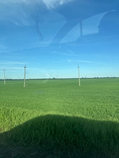 The image shows a field of green grass next to a blue sky. There are telephone poles lining the horizon between the field and sky. A dark shadow is cast on the right edge of the field. Reflections are visible on the left side of the image. The location is likely Azyakul', Russia, based on the user prompt.