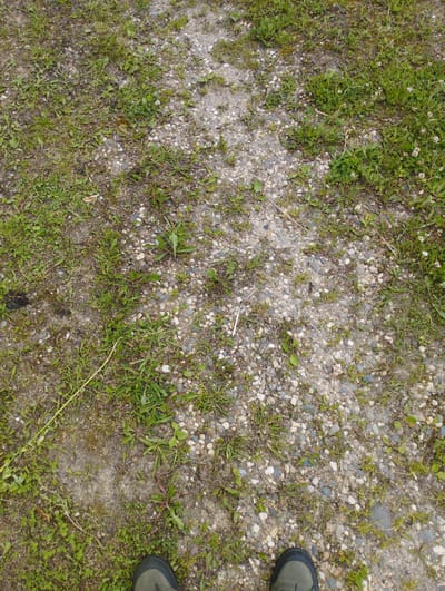 An overhead shot shows a close-up view of a dirt and gravel path with sparse green grass growing through it. The path is irregular and worn, with patches of lighter soil and a scattering of small, multi-colored pebbles. Some of the pebbles are round and smooth, while others are rough and angular. A few small green leaves and twigs are also visible on the ground. In the lower right and left corners of the image, the tops of two dark-colored hiking boots are visible, suggesting someone is standing on the path. The overall impression is of an outdoor, possibly rural or natural setting, consistent with an area like Konstantinovo, Russia, known for its natural landscapes.