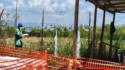 This image captures an outdoor medical or sanitation scene under a bright, partly cloudy sky. In the foreground, an orange plastic construction-style barrier partially obstructs view, behind which white containers or equipment are visible on the left.

The main subject is a healthcare worker, standing on the left side of the frame. They are dressed in light green scrubs, a blue surgical hairnet, a white face mask, and white gloves, looking down at their hands in a paused or preparatory gesture.

Dominating the mid-ground is a fence made of wire mesh and barbed wire, supported by wooden and metal posts. Hung along this fence are numerous translucent face shields, which appear to be resourceful, perhaps homemade, constructions from plastic bottles with elastic bands, likely drying or awaiting use. Below some of these shields, white plastic sheets or cloths are also draped over the fence.

To the far right, a rustic wooden structure with a simple roof provides shade, with a dark green cloth hanging from one of its supports. The background consists of abundant green vegetation, dry grasses, and distant mountains under a clear blue sky with scattered white clouds.

The scene depicts practical health and safety measures, possibly for sanitizing or managing personal protective equipment (PPE) in a field or rural setting. Visible text includes "ALIMA" on a white object behind the orange barrier, and a photographer's watermark, "Joseph Kisuku," in the bottom right corner. The image conveys a functional, daylight operation in an outdoor environment.