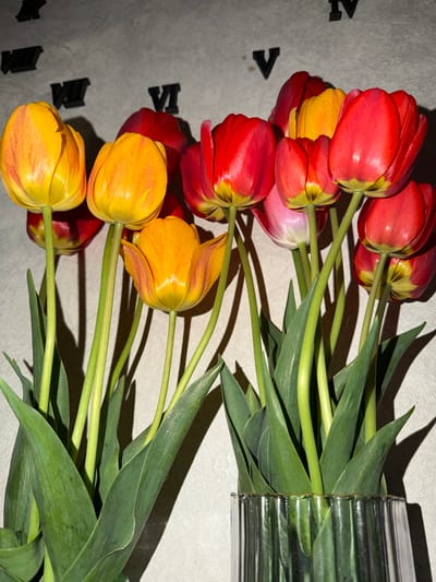 The image depicts a horizontal arrangement of tulips in a glass vase. The tulips are a mix of red and yellow colors. The stems and green leaves of the flowers are also visible. The tulips lie on a white surface with the word "JAVA" printed on it in black letters. The vase appears to be made of glass with a corrugated or ribbed design. The lighting suggests a shadow is cast on the left side of the image. The location is not specified within the image.