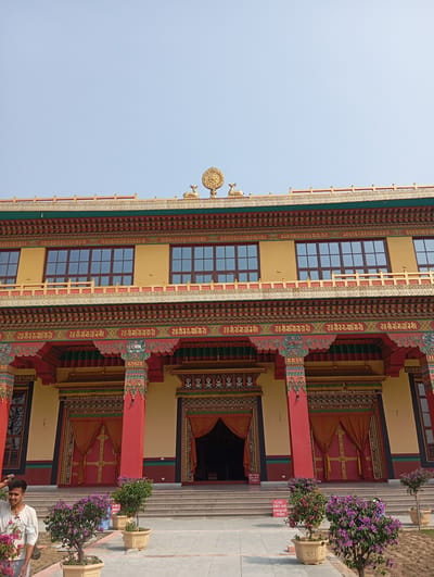 The image depicts a two-story building with ornate Buddhist architecture, likely a monastery or temple, in Lumbini Sanskritik, Nepal. The building has a yellow facade with red columns and intricate decorative details. There are several sets of windows on the upper floor, and the entrance features red curtains. On the rooftop, there is a golden wheel and deer emblem, common in Buddhist symbolism. In the foreground, there are potted purple flowering plants, and to the left, there is a person wearing a white shirt and patterned pants, with their hand on their head. A sign with writing is visible on the steps leading to the entrance. The sky is clear and light blue.