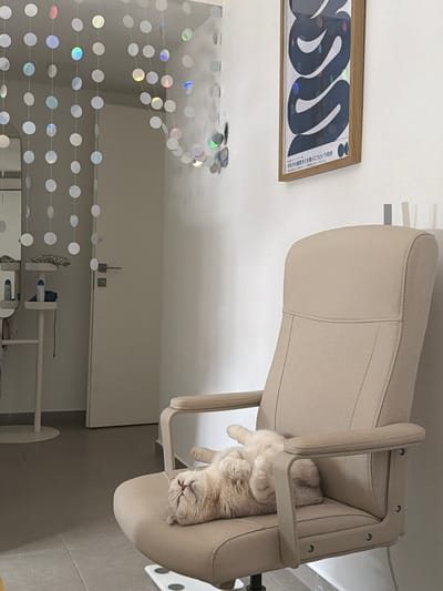 The image shows a light beige office chair with a cat sleeping in it. The chair is positioned in a room with light-colored walls and furniture. There is a framed picture hanging on the wall above a dresser. A string of circular, iridescent decorations is hanging in the foreground. The scene is located in Harish, Israel.