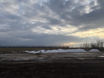 A bleak landscape under a cloudy sky. Patches of snow dot a muddy ground, marked by tire tracks. A line of trees sits on the horizon, with bare branches reaching upward. Power lines stretch across the sky, adding to the starkness of the scene. The light in the distance suggests either sunrise or sunset.