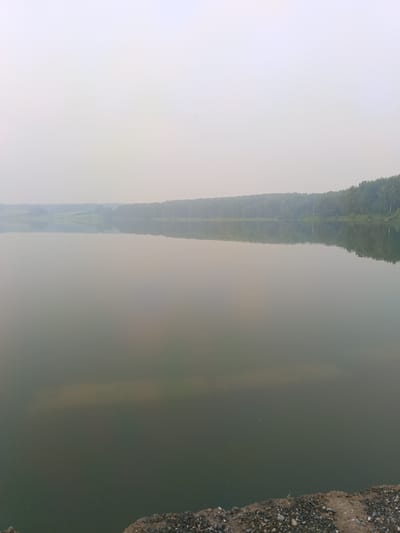 This is a landscape photograph taken at Toguchin, Russia. The image depicts a serene body of water, likely a lake or reservoir, under an overcast sky. The water's surface is calm, reflecting the hazy, pale sky and the dense line of trees that forms the horizon. The trees appear to be deciduous and evergreen, creating a dark green band against the muted sky. The reflection of the treeline is visible on the water, adding a sense of depth and symmetry to the scene.
In the foreground, a gravelly bank is visible, with small stones and some dry earth. The water in the foreground appears darker and murkier than the reflective surface further out, suggesting it might be shallower near the bank or contain sediment. There are a few small, dark specks on the water's surface, possibly insects or debris.
The overall atmosphere is tranquil and slightly somber due to the diffused light and hazy conditions, suggesting either early morning, late evening, or a day with fog or smoke. No people or specific objects are prominently featured, placing the emphasis on the natural landscape. The location cues are limited to the general description of a lakeside environment with a treed horizon. There is no visible text in the image.