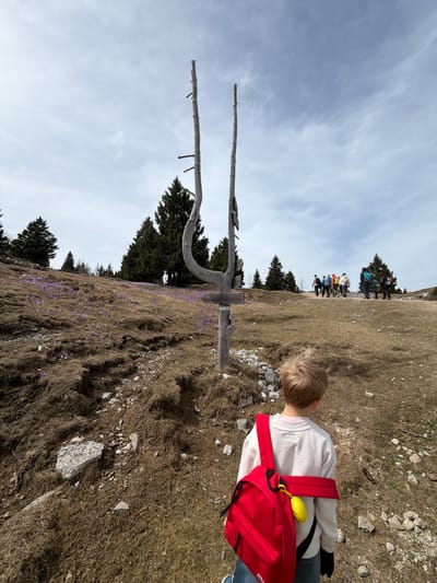 The image depicts a scene on a grassy, mountainous slope, with patches of purple flowers scattered throughout. A child with short, blond hair wearing a light-colored sweater and a red backpack with a yellow object attached to it stands near the edge of the slope. In the background, a group of people is gathered on a path further up the slope. A weathered wooden signpost stands prominently in the midground, along with a dead tree with bare branches. The sky is overcast with a mix of clouds. Based on the mention of Kamnik and the presence of such terrain, it is likely that the scene is located in the Kamnik-Savinja Alps in Slovenia.