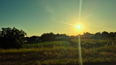 The image depicts a rural scene in Razeni, Moldova, during sunset. The sun is positioned in the upper right quadrant of the frame, emitting a strong glare that creates a prominent lens flare extending diagonally downwards. The sky transitions from a deep teal in the upper left to a pale yellow near the horizon.
In the foreground, tall, dry grass with some green patches occupies the lower portion of the image. Behind the grass, a field of green crops, possibly corn or similar vegetation, stretches across the middle ground. Further back, several houses with dark roofs are silhouetted against the bright sky. Trees, dense and dark, are visible to the left of the houses and also interspersed among them. The overall impression is one of a peaceful evening in a countryside setting. There are no people or animals visible in the image, and no discernible actions or interactions are taking place. The environment appears to be agricultural land surrounding a residential area.