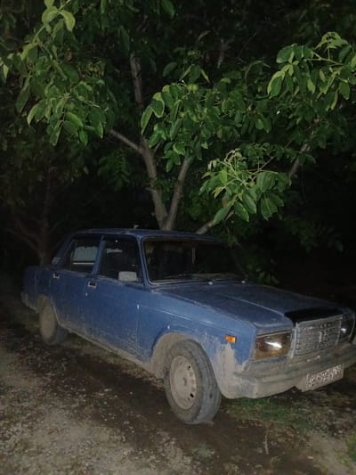 The image shows a blue car parked next to a tree with green leaves. The car appears to be dusty and a bit dirty, suggesting it has been driven recently or has been exposed to the elements. The tree is lush and full of foliage, with some branches touching or leaning over the car. The scene is dimly lit, indicating it is likely nighttime or very early morning. The ground around the car is covered in a mixture of dirt, small stones, and some patchy grass. A license plate is visible on the front of the car, displaying what appears to be Cyrillic characters and numbers: "V533BE 124". The overall impression is of a quiet, possibly rural or suburban setting, with the car being the main object of focus alongside the natural element of the tree. No people are visible in the image, and there are no strong indicators of specific weather conditions beyond the general dim lighting. The context provided indicates the location is Dinskaya, Russia.