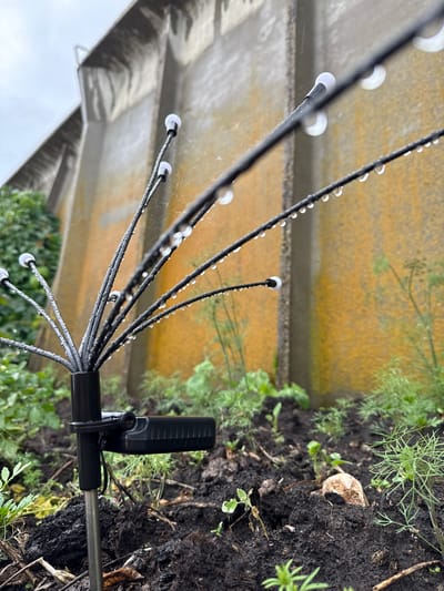 A close-up, low-angle shot shows a black, multi-pronged device attached to a metal rod. The device's prongs, also black, fan out and are adorned with numerous clear water droplets. Each prong ends in a small, white, bulb-like tip, also glistening with water. The device appears to be made of thin, flexible material, possibly wires or plastic filaments. A small, rectangular black object is clipped to the rod just behind the prongs, possibly a sensor or part of the device.
The device is positioned against a backdrop of dark, moist soil and vibrant green foliage, including delicate dill-like plants. Behind the plants, a textured, light yellow wall or surface is visible, with horizontal lines suggesting a building's exterior or a tiered structure. The overall scene is damp, with water evident on the device, plants, and possibly the wall. The lighting is diffused, indicating an overcast or cloudy day. The presence of water droplets suggests recent rain or dew.
The image is taken in Malmyzh, Russia. The perspective and the focus on the device and its immediate surroundings create an intimate view of this particular object and its interaction with the environment. There is no text visible in the image.