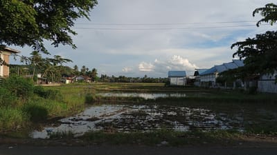 The image depicts a rural landscape in Geulangganggampong, Indonesia, likely at the edge of a residential area bordering agricultural land. In the foreground, a paved road is visible, with a grassy verge and the edge of a flooded rice paddy. The paddy is partially submerged, with dark mud and patches of greenery creating a reflective surface. Beyond the paddy, a cluster of houses and buildings are scattered across the middle ground, interspersed with palm trees and other vegetation. Some of the houses have traditional pitched roofs, while others appear more modern with corrugated metal roofing. To the right, a series of buildings with uniformly sloped blue roofs dominate the scene, suggesting a communal or industrial structure. The background features rolling hills and a sky filled with scattered white clouds against a pale blue hue. The overall impression is one of a peaceful, undeveloped area, characteristic of many Indonesian villages. There are no people visible in the image, and no specific actions are being depicted. The environment suggests a tropical climate, with the presence of lush vegetation and the flooded fields indicating agricultural activity.