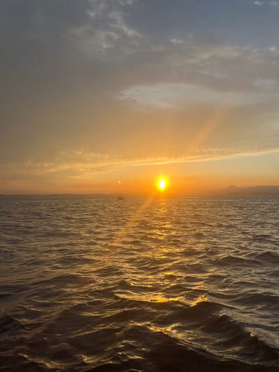 An outdoor wide shot captures a sunset over a body of water near Port Kembla, Australia. The bright, intense golden-yellow sun is positioned slightly right of center on the horizon, emitting distinct light rays diagonally downwards and left across the scene. The sky transitions from a darker grey-blue at the upper left to warm orange and yellow hues near the horizon, populated by scattered clouds. The water, appearing as numerous small waves, reflects the sun's glow with a prominent path of golden light extending from the sun towards the foreground. A small, dark-silhouetted vessel is visible on the water to the left of the sun. A faint, dark landmass or coastline is visible along the horizon on both the left and right sides of the image. No individuals are discernible.
