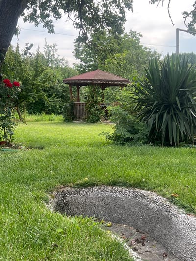 The image depicts a garden scene with a small wooden gazebo in the center, surrounded by lush green grass and trees. The gazebo has a reddish-brown, sloped roof and open wooden sides. To the right of the gazebo, a curved pathway made of grey gravel and small white stones is visible, bordering the grassy area. In the foreground on the left, a large tree trunk is partially visible, and a rose bush with red flowers is also present. The background is filled with dense foliage and trees, with a glimpse of the sky overhead. The overall impression is one of a tranquil, natural setting. The lighting suggests it might be daytime, possibly late afternoon given the quality of light. There is no visible text in the image. The location context provided is Ohrid, Bulgaria.