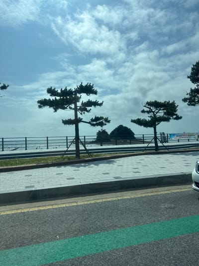 The image depicts a scenic view of the coast in Anmyeon-eup, South Korea. In the foreground, a paved sidewalk with a brick pattern runs parallel to a road marked with a yellow line and a green stripe. Beyond the sidewalk, a metal fence separates the promenade from a sandy area leading to the ocean. Several pine trees with distinctive silhouettes are scattered along the coastline. The ocean appears calm with small waves, and a few people are visible near the water's edge, some of whom appear to be enjoying the beach. In the distance, a small, rocky island rises from the sea. The sky is partly cloudy, with a mix of blue sky and white clouds. A white car is partially visible on the right side of the frame. A banner with Korean text is displayed on the right side of the image, near one of the pine trees.