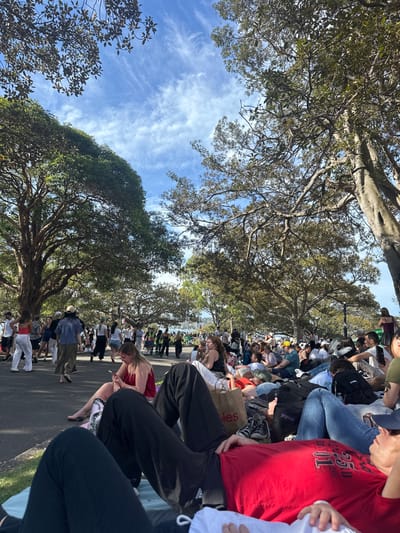 A large group of people are congregated, some sitting and some standing, seemingly observing something beyond the trees. Trees frame the edges of the image, their branches extending towards a sky with streaky clouds. People wear casual clothing, and some are carrying bags or wearing hats. The composition includes foliage, sky, and a crowd of individuals in an outdoor setting.