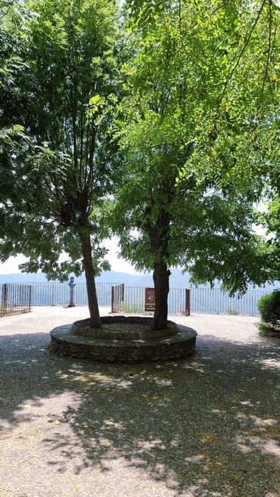 Two trees grow from a circular stone planter in the foreground. Beyond them, a metal fence lines a scenic overlook, with a view of distant mountains and a body of water. A telescope is positioned to the left of the planter. A sign with text and an emblem is visible to the right of the planter. The ground is covered in small, light-colored pebbles. The scene is illuminated by sunlight, casting shadows from the trees onto the ground. The location is identified as Susqueda, Spain.