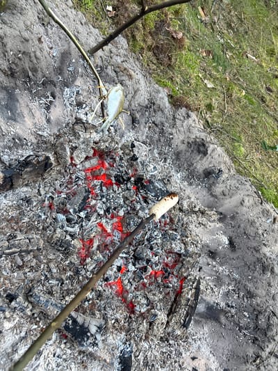 A fish is being roasted over a campfire in the forest. The fish is skewered on a stick and held over glowing embers. A piece of bread is also roasting on a stick next to the fish. The fire is made of wood and ashes. The ground around the fire is covered with sand and grass. The image is taken from a high angle, looking down at the campfire.