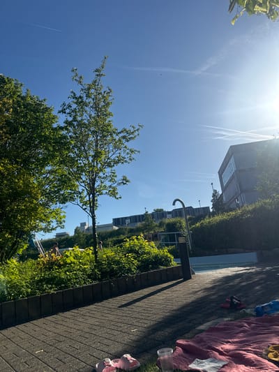 A photograph shows a sunny day in what appears to be Bitburg, Germany, based on the architectural style of the building in the background. A tree with bright green foliage fills the lower left portion of the image. Above the tree, the sky is a bright blue, marked by several contrails from airplanes. To the right of the tree, a building rises above a hedge, its windows reflecting the sunlight. Adjacent to the building, a hedge runs along the edge of what seems to be a pool or a similar water feature. A paved walkway, constructed with dark gray bricks, runs along the edge of the hedge and pool. On this walkway, near the top right of the frame, there is a pink blanket and other items, including a plastic cup and a pair of pink sandals. People appear to be swimming in the pool, and one person is emerging from the pool on a ladder.
