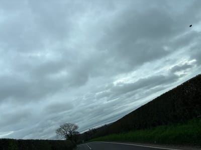 The image depicts a rural road scene under an overcast sky in Baschurch, United Kingdom. A dark asphalt road, marked with a white broken center line and a white solid edge line on the right, curves gently into the distance from the lower center. To the left of the road, a dense green hedge borders the carriageway, behind which a bare deciduous tree with visible branches stands against the sky. Further in the background on the left, additional trees and fields are faintly discernible under the cloudy horizon. To the immediate right of the road, a narrow strip of green grass and weeds precedes a very tall, dense dark green hedge that extends upwards and into the distance, almost entirely obscuring the background on that side. The sky occupies approximately the upper two-thirds of the frame, filled with various shades of grey, heavily clustered clouds. A small, dark, indistinct object, possibly a bird or airborne debris, is visible in the upper right portion of the sky. No individuals or active subjects are present in the frame. The overall lighting is diffused and flat, characteristic of heavy cloud cover.