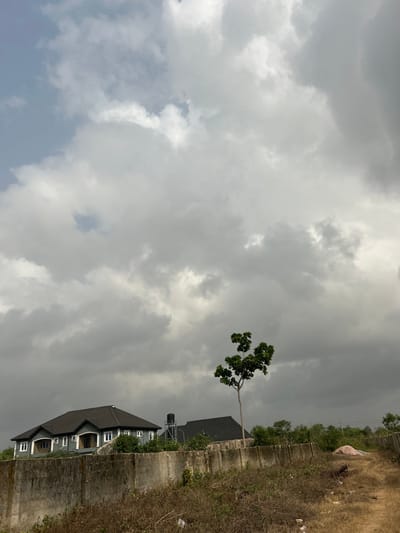 This image captures an outdoor scene in Ilishan, Nigeria, under a predominantly cloudy sky with patches of brighter light visible through the cloud cover. The foreground presents unkempt, dry ground covered with sparse brown and green vegetation and visible debris. A weathered concrete block wall, approximately 1.5 meters high, spans horizontally across the lower mid-ground. Behind this wall, to the left, stands a modern single-story residence with a grey facade, white-trimmed windows, and a dark grey gabled roof, featuring a prominent entrance with columns. A black water tank on a metal stand is visible between this house and a partially obscured second building with a similar dark roof. A slender, medium-height tree with green foliage is positioned in the mid-ground, to the right of the primary residence, behind the wall. The distant background consists of a line of green trees and vegetation. No individuals, vehicles, or specific activities are discernible.