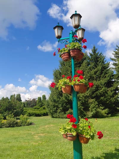 A multi-tiered lamppost in a park setting is adorned with several potted red geraniums. The lamppost is painted a vibrant teal color and features three lamp fixtures at its top. The pots are terracotta colored and are attached to the lamppost at various levels. Lush green grass covers the ground, and a dense backdrop of evergreen trees fills the midground. The sky above is a bright blue with scattered white clouds. This scene is located in the city of Kovalivka, Ukraine.