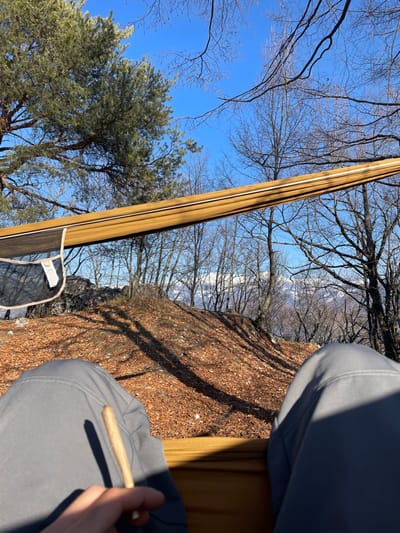 A first-person perspective image captured from within a brown fabric hammock, located outdoors in Pergine Valsugana, Italy. The lower portion of the frame displays the individual's legs, clad in grey trousers, along with a left hand holding a light brown, cylindrical, hand-rolled object. The hammock's interior is visible, including a black mesh storage pocket with a white tag on the left. The ground immediately beyond the hammock consists of a sloping terrain covered densely with dry, reddish-brown leaves. Dark grey rock formations are present on the left mid-ground. The background features numerous bare deciduous trees, with a large evergreen pine tree situated on the upper left. Distant snow-capped mountains are visible against a clear, bright blue sky. Strong sunlight casts sharp shadows across the leaf-covered ground and the individual's attire.