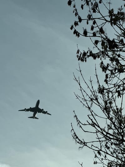 A worm's-eye view captures a large airplane flying across an overcast sky, partially framed by silhouetted tree branches. The sky is a uniform, pale grey, suggesting a cloudy or diffused light day.
The primary subject is a dark silhouette of an airplane positioned slightly off-center in the lower half of the frame. It appears to be a large aircraft, possibly a cargo or a wide-body passenger plane, identifiable by its four prominent engines visible beneath the wings. The tail fin is also clearly outlined against the sky. The plane is angled as if flying slightly away from the viewer, moving from the bottom-left towards the top-right of the frame.
The upper portion and sides of the image are dominated by an intricate network of dark, silhouetted tree branches. These branches appear mostly bare or with very sparse, fine foliage, creating a stark contrast against the light grey sky. They form a natural, organic border or frame for the open sky and the flying airplane.
No specific activity beyond the plane's flight is depicted. The scene is set during daytime, under an overcast sky, with no discernible light source or shadows other than the silhouettes themselves. There are no visible people or text in the image. The context provided for the location is Berg, Luxembourg.