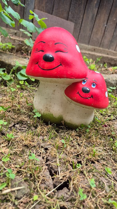 The image shows two red mushroom garden ornaments with painted faces. The larger mushroom in the foreground has its eyes closed and a smiling mouth. The smaller mushroom, placed in front of and to the right of the larger one, has its eyes open and also has a smiling mouth. Both mushrooms have white polka dots on their red caps. They are situated on the ground, which is covered with dry grass and small green plants. In the background, there is a wooden fence and some green foliage. The scene appears to be outdoors in a garden setting. There are no people or animals present in the image, and no actions or interactions are depicted. The location is specified as Doirentsi, Bulgaria.