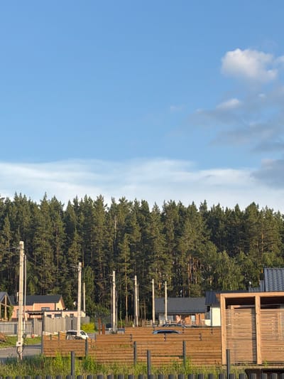 The image captures a scene in the village of Maloye Sedelnikovo, Russia, dominated by a dense pine forest that forms a dark green backdrop. In the foreground, a light brown wooden fence stretches horizontally across the frame, with some taller black fence posts interspersed. Beyond the fence, several houses are visible, some with light-colored walls and dark roofs, suggesting a residential area. Power lines supported by concrete poles are also present, indicating infrastructure. The sky above is a clear light blue with some wispy white clouds scattered towards the horizon. The lighting suggests it is late afternoon or early evening, with the sun casting a warm glow on the scene. There are no people or animals clearly visible in the image. The overall impression is one of a quiet, semi-rural setting on the edge of a forest.