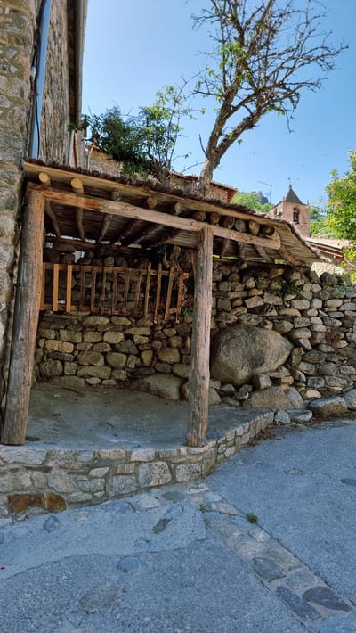 A sunlit, outdoor scene depicts a rustic wooden shelter constructed against a stone wall in the village of Setcases, Spain. The shelter has a rough-hewn wooden roof supported by rough-hewn wooden posts. Behind the shelter, a stone wall is visible, with a section of a wooden grate or fence. The ground in front of the shelter is paved with concrete, which transitions into a stone pathway and then an asphalt road. A large, round boulder is nestled against the stone wall to the right of the shelter. In the background, a tree with bare branches grows from the roof of the shelter and extends towards a clear blue sky. Further in the background, the spire of a church is visible. The overall impression is one of a traditional, rural environment.