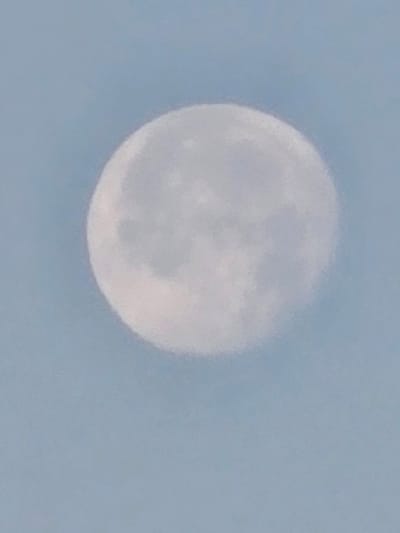 The image displays a full moon against a pale blue sky, suggesting it is daytime or twilight. The moon is out of focus, appearing as a soft, luminous disc with subtle variations in brightness that hint at surface features. The sky itself is a uniform, light blue, devoid of any clouds or other celestial bodies. The overall impression is one of a serene, natural scene. The image does not contain any information that would allow for its localization within the city of Worms, Germany.