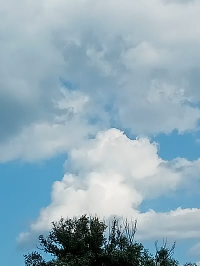 The image depicts a sky filled with white and gray clouds, with patches of blue sky visible. In the lower portion of the frame, the dark green foliage of trees with bare branches is visible against the sky. The scene appears to be an outdoor environment in Stavchyntsi, Ukraine. There are no people or animals present in the image, and no specific actions or interactions are captured. The focus is on the natural elements of the sky and trees.