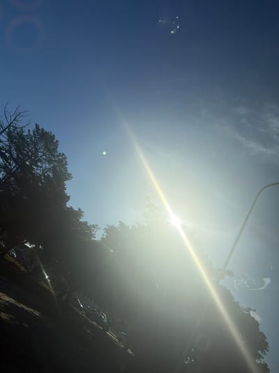 An outdoor, upward-angled shot taken on a very bright, sunny day in Goodwood, South Africa, featuring a prominent sun with a strong, diagonal lens flare dominating the right side of the frame. The sky, visible in the upper-left, is clear and blue with scattered wispy clouds.
Silhouetted dark green foliage from numerous trees lines the right and bottom edges of the image. Through the trees and in the darker areas towards the bottom-right, several cars are visible, indicating a road or parking area. A light-colored, linear structure or pole extends from the upper-right into the intense light of the sun. A portion of a silver or white car is also visible near this structure in the upper-right, partially obscured by the light and trees.
In the upper-left quadrant, a bright, metallic-looking object or reflection appears, along with a distinct small green circular lens flare artifact further to the left. A faint, circular sign with the number '80' (likely a speed limit) is barely discernible through the glare and foliage on the right side. The overall scene captures a moment under intense sunlight, with elements of nature and human infrastructure juxtaposed.