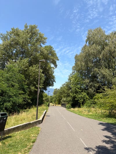 This is a photograph of a paved path, likely a bike or walking path, that runs alongside a grassy area and a line of trees. The path is paved with asphalt and has white dashed lines marking its lanes. The trees on the left are lush and green, with a bright blue sky visible between them. On the right, the path is bordered by a concrete retaining wall and more greenery, with tree shadows falling across the asphalt, suggesting it is daytime. The sky has scattered white clouds. In the distance, a mountain is visible. There are also streetlights along the path, and a trash bin is present. The scene appears to be a peaceful outdoor setting, possibly a park or a scenic route. There is no text visible in the image.