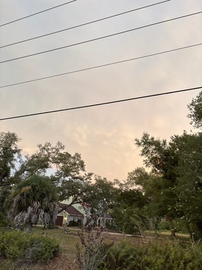 In South Venice, Florida, a twilight sky with soft, wispy clouds is visible above a canopy of lush green trees. Several power lines stretch horizontally across the upper portion of the frame, silhouetted against the pale sky. Below the trees, a two-story house with a light green exterior and a brown roof is partially visible. The house has white-framed windows and a garage door. In the foreground, dense green foliage and a palm tree with dry fronds suggest a tropical or subtropical environment. The scene appears to be captured from a roadside perspective, with the vegetation and the house implying a residential area.