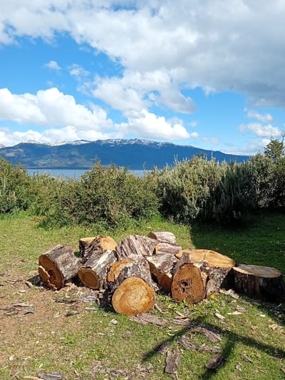 The image captures a serene outdoor landscape under a bright, partly cloudy sky. In the immediate foreground, a pile of roughly cut logs is stacked on a patch of ground that combines dirt and green grass. These logs vary in size and color, showing the rings and textures of their wood, with some bark still clinging to their sides. Scattered around the logs are wood chips and pieces of bark. Shadows are cast across the grassy areas, indicating strong sunlight.
Moving towards the midground, a dense band of green and grayish-green bushes and shrubs stretches horizontally across the frame, acting as a natural divider. Beyond these bushes, a calm body of water, likely a lake, is visible, reflecting the bright sky.
In the background, a majestic mountain range dominates the horizon. The lower slopes of the mountains are covered in dark green forests, while their higher peaks are adorned with patches of white snow, suggesting a considerable elevation. The sky above is a vibrant blue, filled with numerous fluffy white and grey clouds that are widely dispersed, indicating fair weather. The overall scene suggests a beautiful natural environment, possibly a lakeside area in a mountainous region, on a clear, sunny day. No people or text are visible in the image.