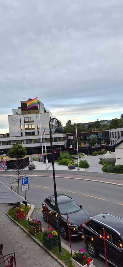 The image shows a street scene in Gjøvik, Norway, with several buildings, cars, and decorative elements. A modern building with a clock on its facade is prominently featured, with a rainbow flag flying in front of it. The building's text reads "G. GJØVIK RÅDHUS," indicating it is the Gjøvik Town Hall. Another building next to it appears to be a commercial establishment with large glass windows and an entrance.

Two black cars are parked on the side of the road, with strings of lights illuminating them. The area along the sidewalk is decorated with flower planters, adding color to the urban environment. A blue parking sign with text is visible near the sidewalk.

The sky is overcast with soft, diffused light, suggesting it might be early morning or late afternoon. The overall scene depicts a well-maintained urban area with hints of community celebration, possibly due to the presence of the rainbow flag. The weather appears calm. No people are clearly visible in the image.