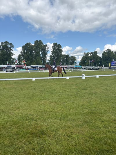 A horse and rider are performing dressage in a grassy arena at the Bramham International Horse Trials in Bramham, United Kingdom, located at latitude 53.871, longitude -1.38. The rider is wearing a black jacket and white breeches, and the horse is brown. There are white cones and a white rail bordering the arena. In the background are tents and other spectators. The weather is sunny and there are clouds in the sky.  The event is taking place under blue skies.