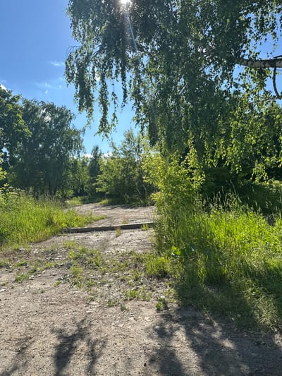 The image depicts an outdoor scene with a dirt road winding through a grassy area with trees. The sun is shining brightly, casting shadows on the road. Lush green foliage surrounds the road, with tall grass and trees filling the background. The sky is a clear blue with a few wispy clouds. The scene appears to be a natural or semi-natural environment, possibly a park or a rural area.