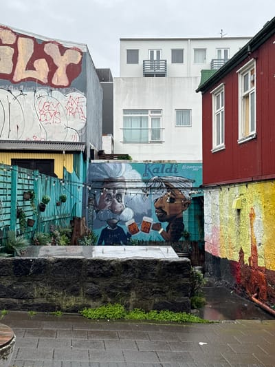 This image captures a vibrant, narrow urban alleyway or passage in Reykjavik, Iceland, under an overcast sky, with surfaces appearing wet from recent rain.
In the foreground, a dark, rough-hewn stone retaining wall, partially covered with moss and small green plants, runs horizontally. In front of it, wet grey rectangular paving stones lead into the scene, with small green shoots growing from cracks and a white liquid spot visible on the right. A section of a curved wooden bench is partially visible on the far left.
To the left of the passage, a prominent teal-colored wall features a large mural. The mural depicts two cartoonish male figures holding beer mugs: an older man with white hair and a large mustache, resembling Albert Einstein, wearing a sweatshirt with "E=MC²", and another man with darker skin and a head wrap. Above them, "Kaldi BAR" and "@JUANPICTUREART" are visible, indicating the mural's subject and artist. In front of this mural, a turquoise slatted fence, adorned with hanging plant pots containing greenery and strung with decorative lights, creates a lush garden area with various plants and shrubs. Behind the fence, a yellow-painted building with a dark door is partially visible. Further back and to the left, the upper section of a grey building with a peaked roof is covered in large, light-colored graffiti on a red background, with red text appearing below, including "UGLY BOYS" and "AXE YRA!".
To the right of the passage, a corrugated metal building, painted dark red with two white-framed windows, stands prominently. Its lower section features a vibrant, textured mural in yellow, orange, and red, depicting a silhouetted spire-like structure. A narrow, dark, wet pathway runs between the stone wall/garden area and the red building. In the background, a modern, light grey multi-story building with numerous rectangular windows and balconies with horizontal railings rises above the other structures. A small antenna or weather vane is visible on its roof. The scene blends diverse architectural styles, prominent street art, and urban greenery, characterizing a dynamic city environment.