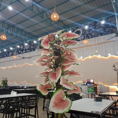This image depicts the interior of a cafe or restaurant, likely in Namplohbaro, Indonesia, as suggested by the text. The scene is oriented vertically, with the ceiling occupying a significant portion of the frame.
The prominent subject is a large, artificial floral arrangement with large, heart-shaped leaves that are primarily pink with white centers and green edges. These leaves are suspended from the ceiling, creating a decorative focal point. Several woven pendant lights with exposed bulbs hang around the floral display, adding to the ambiance.
The ceiling features a corrugated metal roof structure visible in the upper left, contrasted with a modern, paneled ceiling in the upper right, illuminated by warm, indirect lighting that creates a wavy, glowing effect. A ceiling fan is also visible.
On the right side of the image, tables and chairs are set up. The tables have white tops and black frames, with black chairs positioned around them. A tissue box dispenser is visible on one of the tables. A small television screen is mounted on a shelf in the background.
The wall in the background has a dark mural adorned with white illustrations related to coffee, such as coffee beans, cups, and brewing equipment. Some text is visible on the mural, including "enjoy," "Bintang Kopi," and "Gol." There is also a poster with text in Indonesian, likely an appeal for donations for the construction of a mosque, "Mohon Do'a dukungannya UNTUK PEMBANGUNAN MESJID JAMIK AL-MABRUR."
The lighting suggests it is likely daytime, but the interior lighting creates a warm and inviting atmosphere, possibly evening or a dimly lit day. There are no people visible in the image. The overall impression is of a modern, aesthetically pleasing dining or gathering space with a touch of nature-inspired decoration.