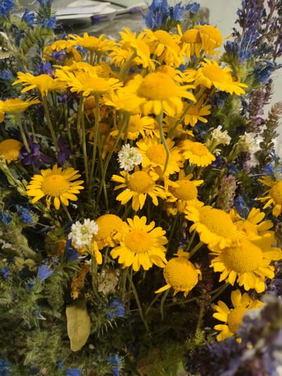 A close-up, vertical shot captures a vibrant bouquet of wildflowers, predominantly featuring bright yellow daisy-like flowers with intricate yellow centers and delicate petals. Interspersed among them are clusters of small, white button-like flowers. The bouquet is further enhanced by the presence of dark blue and purplish-blue wildflowers with spiky blooms, and some feathery, green foliage. The background is softly blurred, creating a shallow depth of field that emphasizes the flowers. The lighting appears natural, casting soft shadows and highlighting the textures of the petals and greenery. The image does not contain any people, specific actions, or identifiable locations within Kalach, Russia; it focuses solely on the floral arrangement.
