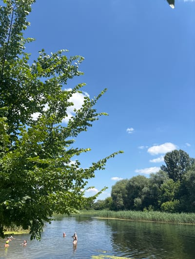 A vibrant green tree with lush foliage dominates the foreground of this image, positioned on the left side. Behind the tree, a serene body of water stretches into the distance, its surface rippling gently. Along the far bank of the water, a dense line of tall, green reeds creates a natural border, giving way to a thick forest of diverse trees. The sky above is a brilliant, clear blue, punctuated by a few fluffy white clouds.
In the water, several people are visible enjoying a leisurely swim. One person, further out in the water, appears to be treading water, possibly resting or observing their surroundings. Closer to the foreground, another individual is visible, and further down, a third person is partially submerged. The overall scene suggests a warm, sunny day, likely in the late morning or early afternoon, given the bright sunlight and clear sky. The location appears to be a natural setting, possibly a lake or river in Zmiiv, Ukraine, characterized by its abundant greenery and tranquil waters. The mood is peaceful and recreational, with people enjoying the refreshing water on a pleasant day. No visible text is present in the image.