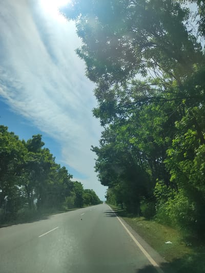The image depicts a highway passing through a lush green landscape with trees lining both sides of the road. The sky is bright blue with streaks of white clouds and the sun is visible, casting a bright glare. The road is asphalt and appears to be in good condition, with a white lane marker visible. There are no people or vehicles in the immediate vicinity. The environment suggests a rural or semi-rural setting. The description does not contain specific information about the city of Horom, Armenia.