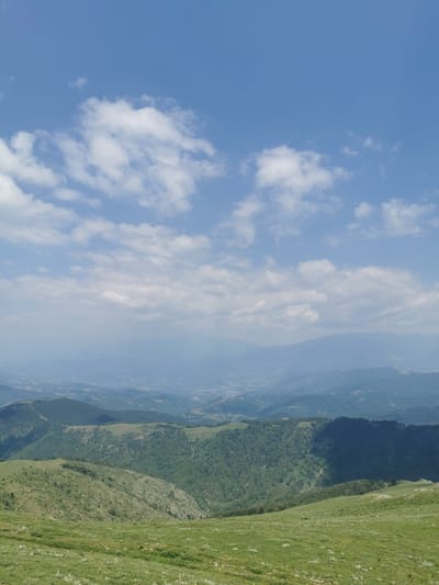 A wide-angle, vertical shot captures a vast mountainous landscape under a bright blue sky dotted with scattered white clouds. The foreground is dominated by a gently sloping, sunlit meadow covered in lush green grass and small white wildflowers. Behind this, the landscape descends into rolling hills and valleys covered in dense green forests. Further in the distance, progressively more muted, blue-hued mountains fade into a hazy horizon. The image is taken from a high vantage point, offering a panoramic view. The location is identified as the mountains near Brestovo, Bulgaria.