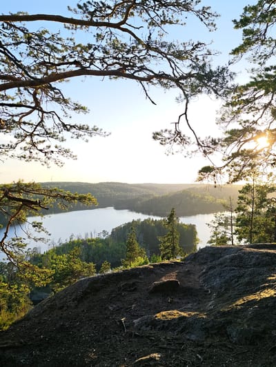 This is a photograph taken from a high vantage point overlooking a lake surrounded by dense forests. In the foreground, a rocky, uneven terrain is visible, with sparse vegetation and tree roots. Several pine branches frame the top and left side of the image, their needles silhouetted against a bright, clear sky.
The middle ground features a calm, wide lake with a light blue hue. The shoreline is lined with a mix of green coniferous trees, some appearing more sparse than others, with occasional dead trees visible. The landscape of hills covered in forests extends into the distance, gradually fading into a hazy horizon.
The sun is setting or rising, casting a warm golden light that creates a distinct gradient across the sky, from a pale yellow near the horizon to a bright white overhead. Sunbeams are visible filtering through the trees on the right side of the image, illuminating the forest canopy.
The location is identified as Skriketorp, Sweden. There are no people or animals visible in the scene. The overall atmosphere is serene and natural, characterized by the interplay of light and shadow on the rugged landscape and the tranquil water.